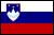 Picture of the Slovenian flag 